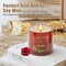 Scented Candles 4 Pack Soy Wax Long Lasting Rose Lavender Sandlawood Apple Fragrance Gifts for Women Mother's Day Thanksgiving Day Christmas Day